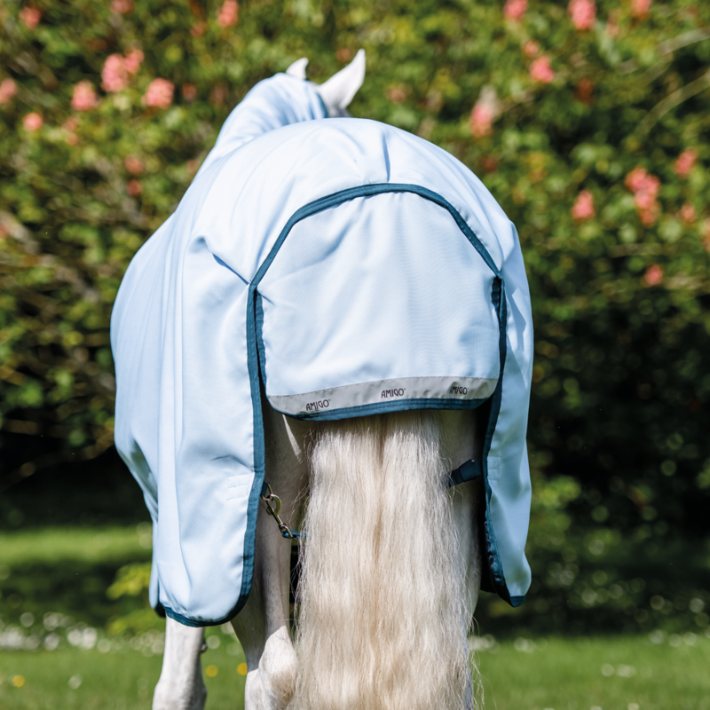 Horseware Amigo 50g Turnout Rug - Blue/Navy -3